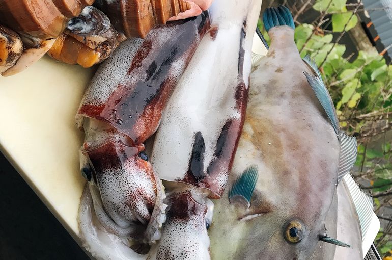 魚
