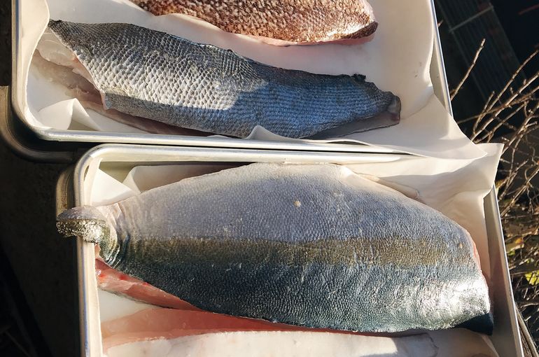 捌いた魚