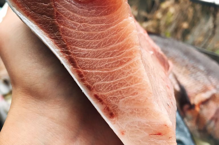 ブリ