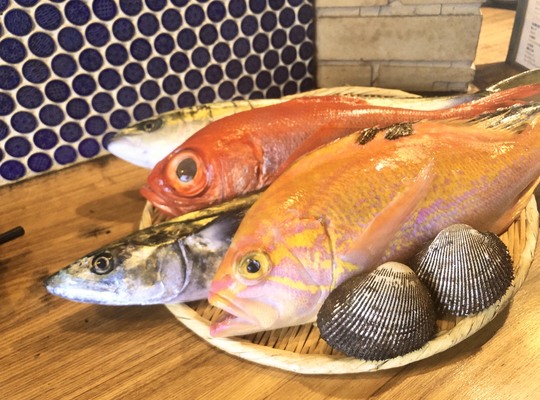 魚