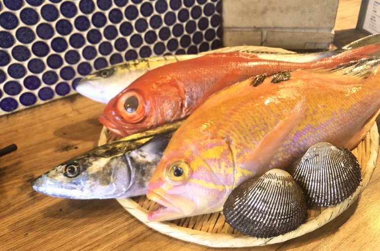 魚