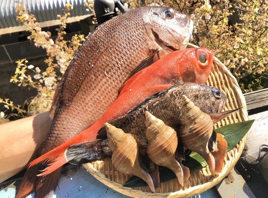 魚