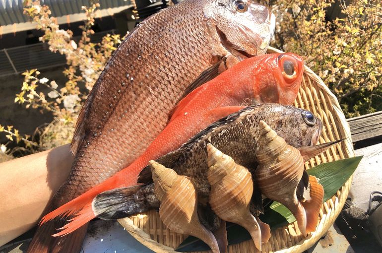 魚